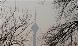 کیفیت ناسالم هوای تهران در هفته محیط زیست