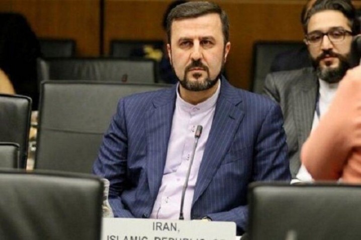 غریب آبادی: ایران شفاف‌ترین برنامه صلح آمیز هسته‌ای را در میان اعضای آژانس دارد