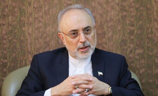 نامه ایران به آژانس/ رییس جمهوری باید دستور اقدام را صادر کند
