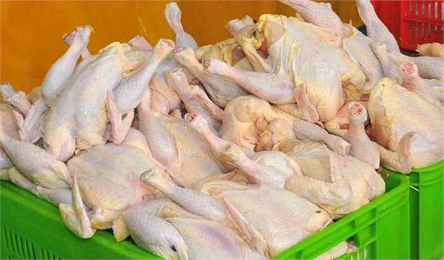 ممنوعیت صادرات گوشت مرغ از اول فروردین