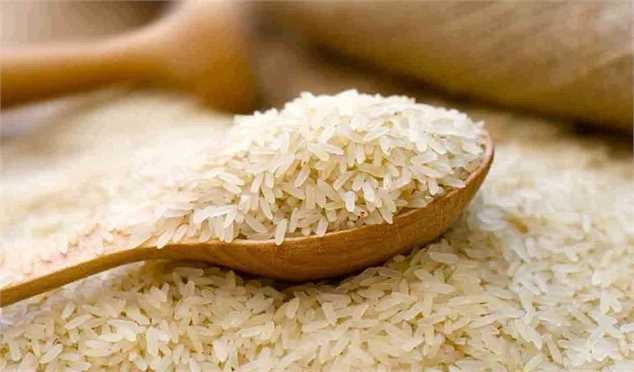 نیاز به واردات ۵۰۰ هزار تن برنج / تعلل دولت در اختصاص ارز برای واردات
