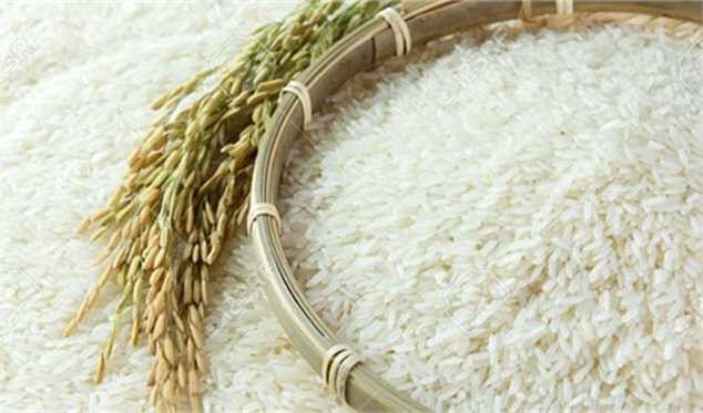قیمت برنج همچنان می‌تازد
