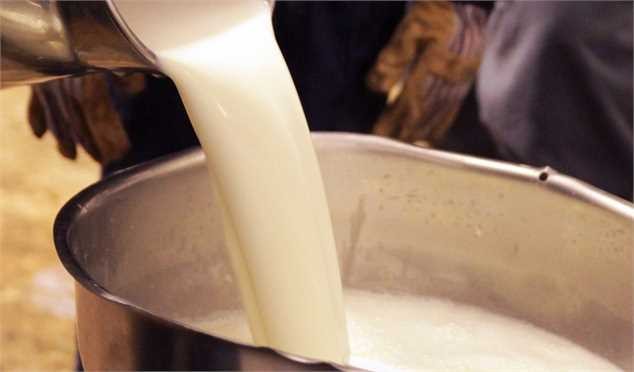 شیر و ماست و پنیر از ۱۷ مهر ارزان میشود
