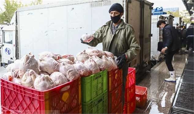 مرغ یخزده وارداتی دردی از بازار دوا نمیکند!