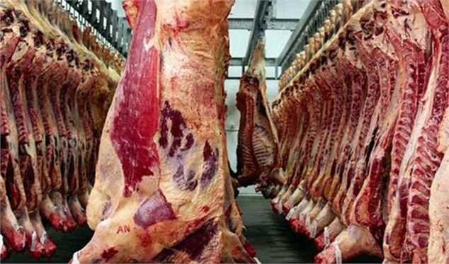 ورود اولین محمولههای گوشت وارداتی تا اواسط هفته