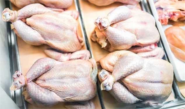 قیمت مرغ به زیر ۸۰ هزار تومان رسید