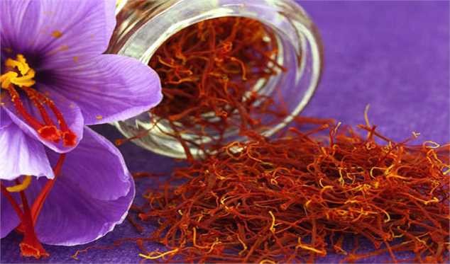 نیازی به ورود دولت در بحث خرید توافقی زعفران نیست