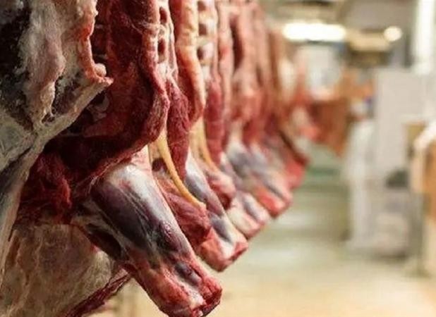 سکوت سیاستگذار در برابر افزایش قیمت بیسابقه گوشت