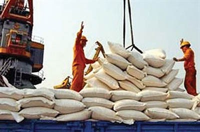 حجتی: واردات برنج از پایان تیر ممنوع است/تولیدبیش از30هزارتن چای خشک