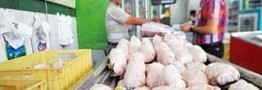 قیمت مرغ در بازار امروز