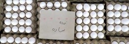 قیمت جدید تخم مرغ در بازار