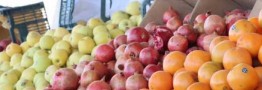 قیمت انواع میوه و سبزیجات در بازار امروز