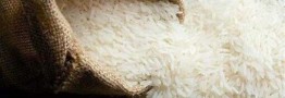 برنج پاکستانی 151 هزار تومانی در نمایشگاه&zwnj;های بهاره