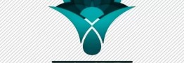 بازده اخزا به 38.3 درصد رسید