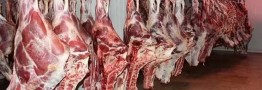 خبر مهم درباره عرضه گوشت اسب و الاغ 