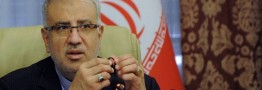 Oil Minister: Iran, Algeria to Continue Cooperation in GECF, OPEC