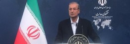 سخنگوی دولت: زنگنه از وزرای کلیدی دولت است