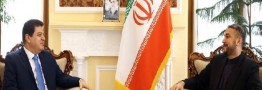 امیرعبداللهیان: ایران سیاست برقراری ثبات و امنیت منطقه را دنبال می کند