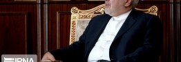 ظریف: درباره امور داخلی آمریکا اظهارنظر نمی&zwnj;کنیم