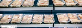 قیمت مصوب هر کیلوگرم گوشت مرغ گرم ۲۰ هزار و ۴۰۰ تومان باقی ماند