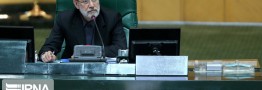 لاریجانی: کمیسیون امنیت ملی حادثه سقوط هواپیما را پیگیری کند