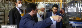 تامین ۱.۵ برابر اقلام پروتئینی کشور/ صادرات ۵ محموله گوشت مرغ