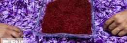  ۵۵ کشور مقصد زعفران ایرانی/ افزایش صادرات زعفران با بسته&zwnj;بندی و کاهش فروش فله&zwnj;ای