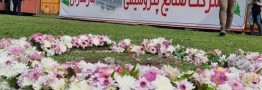 صدای دوباره کلنگ پتروشیمی میانکاله/هنوز نامهای به محیطزیست ارسال نشده است
