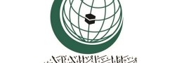 سازمان همکاری اسلامی: توافق تهران - ریاض گامی برای تقویت ثبات منطقه است