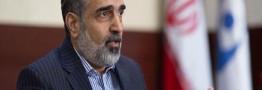 کمالوندی: پنج دستاورد هسته‌ای ایران در اتریش به نمایش درمی‌آید