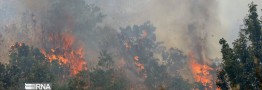 آتش سوزی در عرصه‌های طبیعی کشور ۱۳۵ درصد افزایش یافت