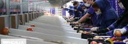 نداشتن آگاهی یا کسب&zwnj;وکارهای نوظهور؛ علت بیمه نبودن پنج میلیون شاغل چیست؟