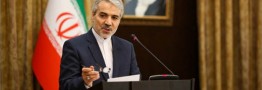 پولی از پرونده بابک زنجانی عاید دولت نشده است/ قیمت کنونی ارز طبیعی نیست