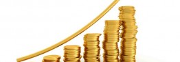 لزوم حمایت از پوشش ریسک به جای نوسان قیمت