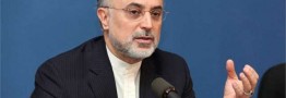 صالحی: بازگشت تحریم&zwnj;های آمریکا هیچ تأثیری بر فعالیت&zwnj;های هسته&zwnj;ای ایران نگذاشته است
