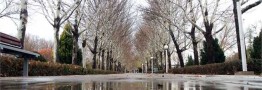 تداوم بارشها و کاهش 10 درجهای دما