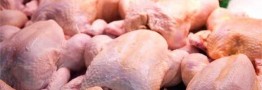 بی&zwnj;سابقه&zwnj;ترین جهش نرخ مرغ در بازار/ قیمت از ۱۴ هزار تومان عبور کرد