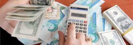 قیمت مطلوب ارز برای دولت کمتر از ۱۰ هزار تومان است