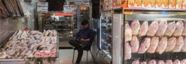 فروش مرغ با قیمت بالاتر از ۱۱۵۰۰ تومان تخلف است