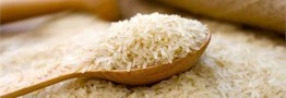برنج با ارز ۴۲۰۰ تومانی وارد میشود