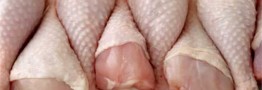 اگر قیمت مرغ کاهش نیابد، از دو روز آینده واردات آغاز می&zwnj;شود