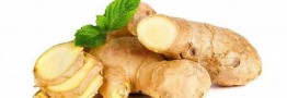واردات بیش از ۳ هزار تن زنجبیل به کشور