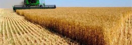 اختصاص ۴ هزار میلیارد ریال تسهیلات برای بخش کشاورزی