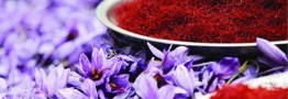 ضربه کرونا به زعفران