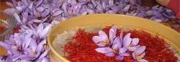 قیمت زعفران به ۱۰.۵ میلیون تومان رسید