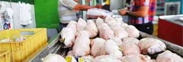 افزایش قیمت مرغ و شکر غیرقانونی است