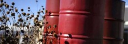 فاصله قیمتی بوتادین&ndash;نفتا آسیا همزمان با تقاضای ضعیف آمریکا به کمترین میزان&zwnj; خود در سه ماه اخیر رسید