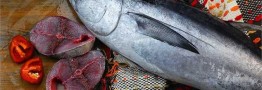 ۶۰ درصد ماهی تن، وارداتی است/ افزایش قیمت میزان مصرف را کاهش داد