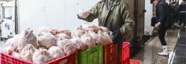 ستاد تنظیم بازار نرخ مصوبه مرغ را اعلام نکرده است