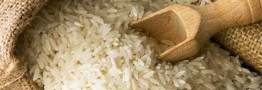 ثبت سفارش ۶۰۰ هزار تُن برنج/کاهش ۷ درصدی قیمت برنج خارجی در بازار